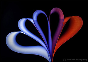 Coloured Curves